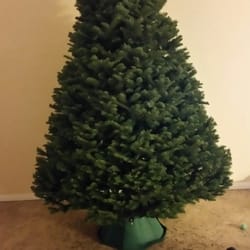 Tucson Boys Chorus Christmas Tree Lot - The most perfect looking 6' noble fir!