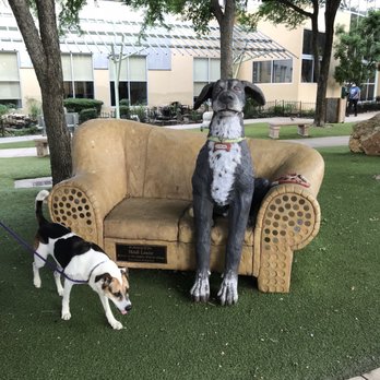 San Antonio Humane Society - Animal Shelters Near Me - San Antonio, Texas