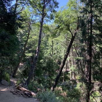 Heart Rock - Trail with foliage - Hiking Near Me - Crestline, California