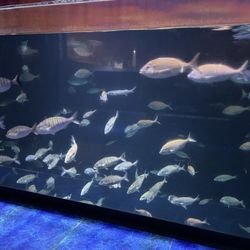 Aqua Florya Alışveriş Merkezi