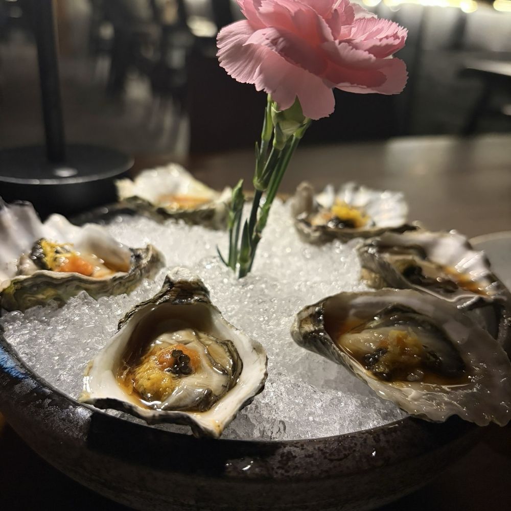 Hachi - 1/2 dozen oysters - Japanese Near Me - Houston, Texas