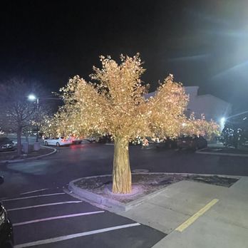 Sukiya Sushi & Japanese Buffet - Buffets Near Me - Midvale, Utah Sukiya Sushi & Japanese Buffet - Buffets Near Me - Midvale, Utah