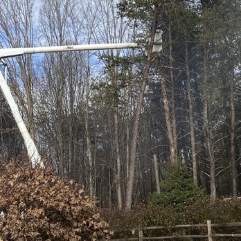 1. Hometown Tree Service