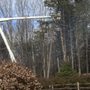 Photo of Hometown Tree Service