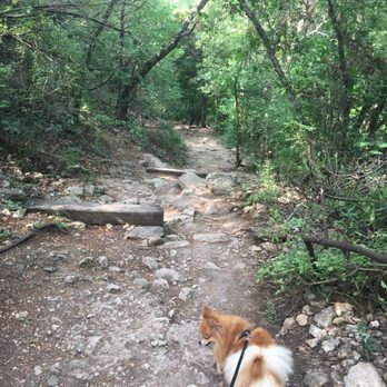 Barton Creek Greenbelt - Parks Near Me - Austin, Texas Barton Creek Greenbelt - Parks Near Me - Austin, Texas