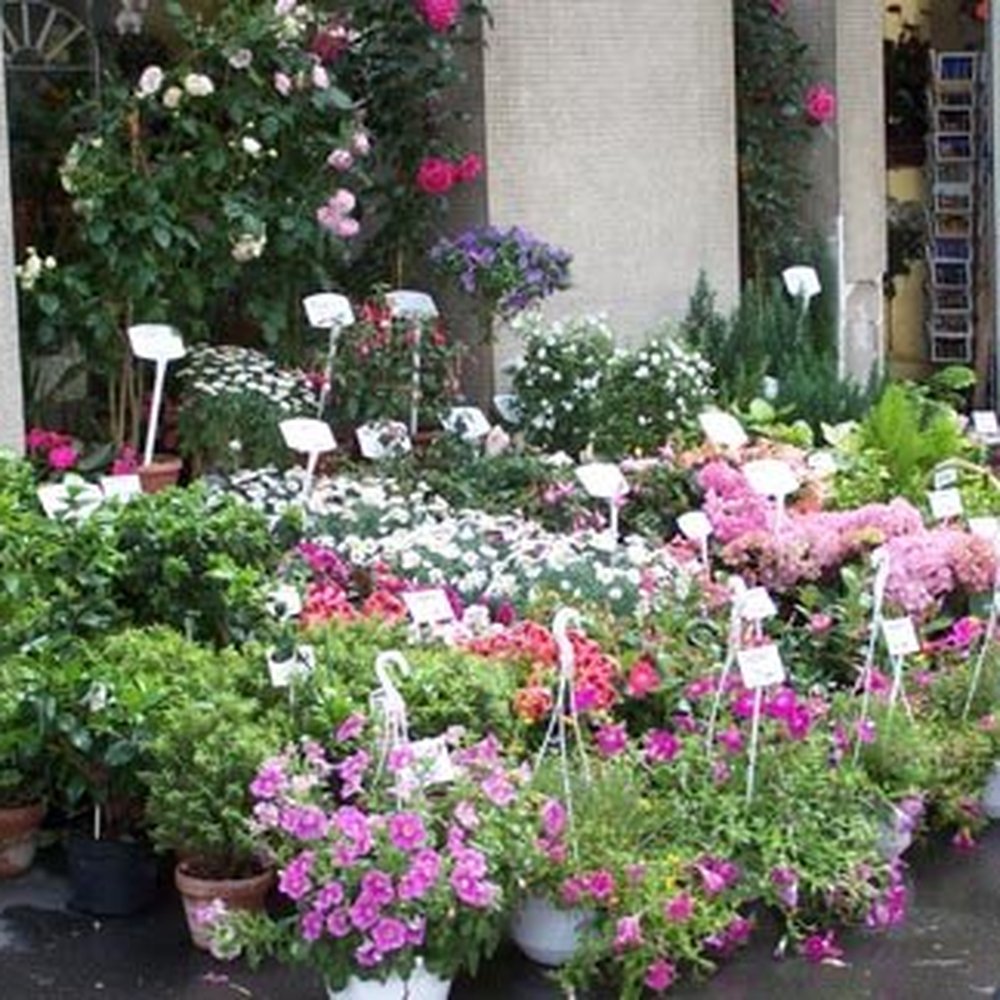 Platinum Flowers - Florist in Hartlepool sending flowers - Florists Near Me - Hartlepool, RCC