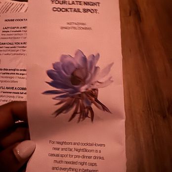 NightBloom - Cocktail Bars Near Me - New Orleans, Louisiana