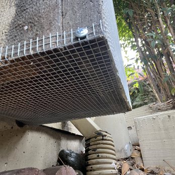 Rat & Mice Control - Pest Control Near Me Rat & Mice Control - Pest Control Near Me