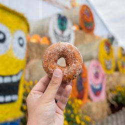 Bauman's Harvest Festival - Famous Apple Cider Donuts