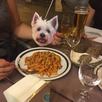 Ciampini - #FlatDixon loves the arrabiata - Bars Near Me - Rome, RM Ciampini - #FlatDixon loves the arrabiata - Bars Near Me - Rome, RM