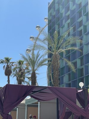 The Pool at Harrah's Las Vegas by null
