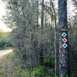 Goethe State Forest - Entry to trails at Black Prong Trailhead.