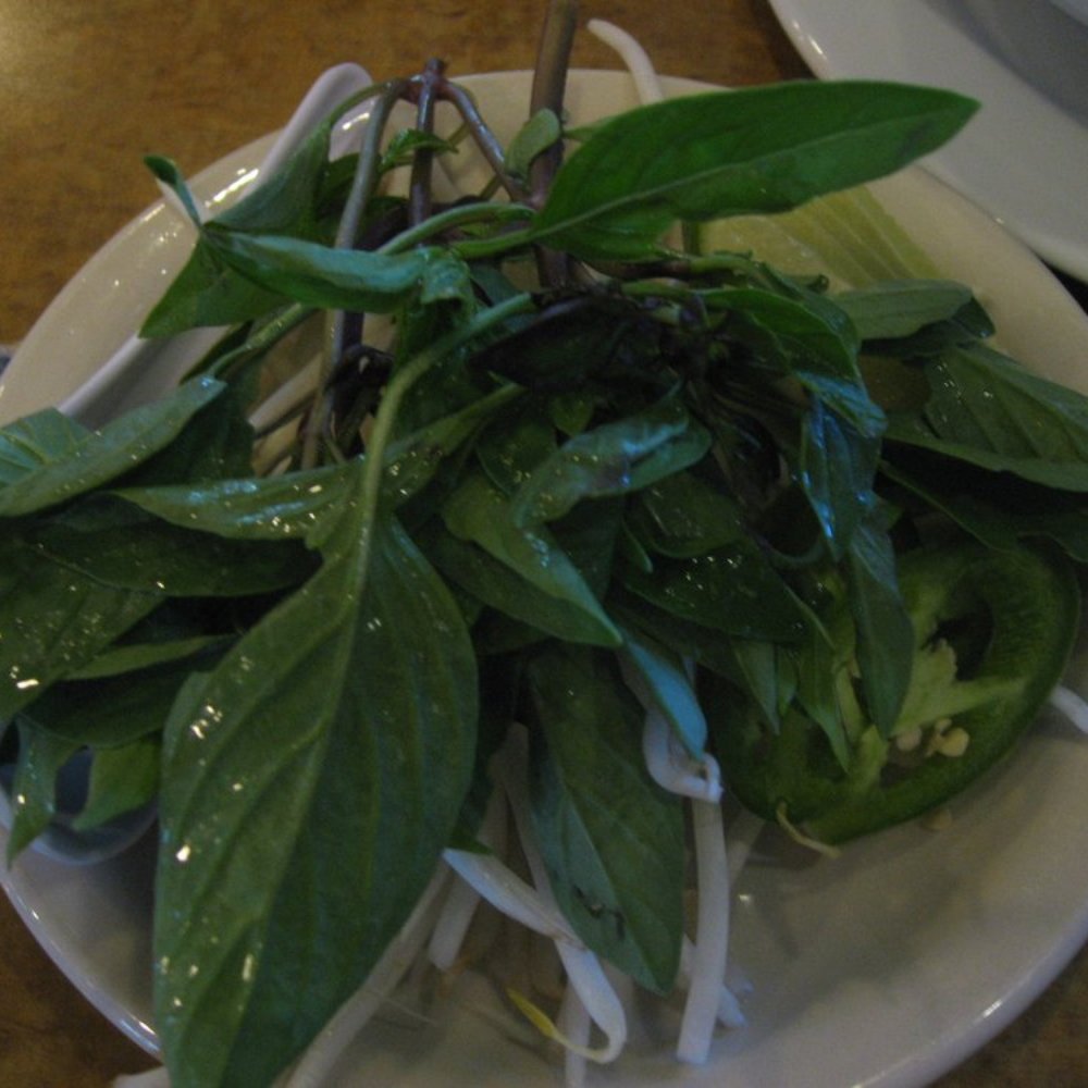 Com Tam Thanh - Vietnamese Near Me - Newark, California