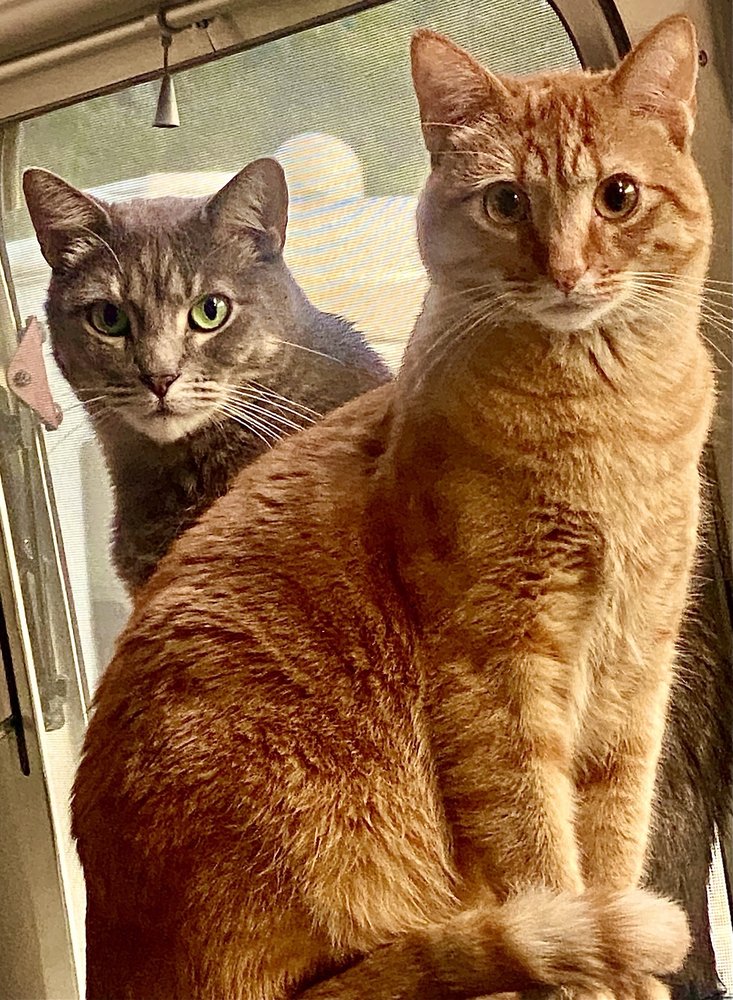 Chuck & Don's Image
