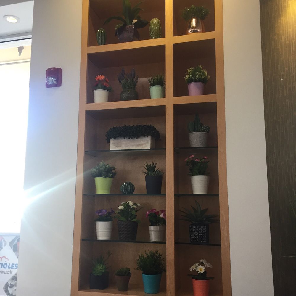 Icicles - Succulent decor - Desserts Near Me - Newark, California Icicles - Succulent decor - Desserts Near Me - Newark, California