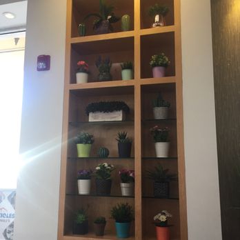 Icicles - Succulent decor - Desserts Near Me - Newark, California