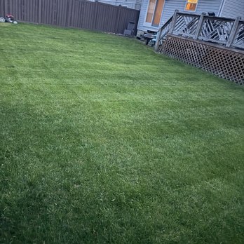LM landscaping - Good work would recommend using them in the future !!! - Lawn Services Near Me LM landscaping - Good work would recommend using them in the future !!! - Lawn Services Near Me