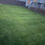 LM landscaping