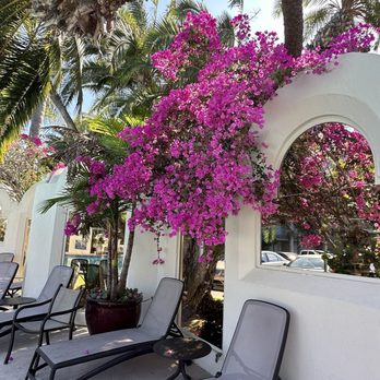 Bahia Resort Hotel - Inside the pool area - San Diego, CA