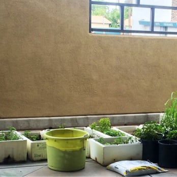 New Saigon - Herb garden on patio. Family member informed me that if the Orange County fresh herbs run out this is there emergency supply - Vietnamese Near Me - Bakersfield, California