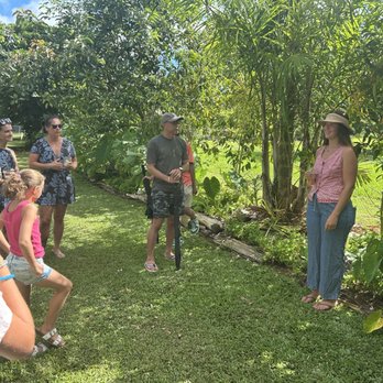 Common Ground Kauai - Attraction Farms Near Me - Kilauea, Hawaii