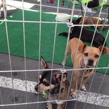 PetSmart - Adopt me! - Pet Stores Near Me - San Diego, California