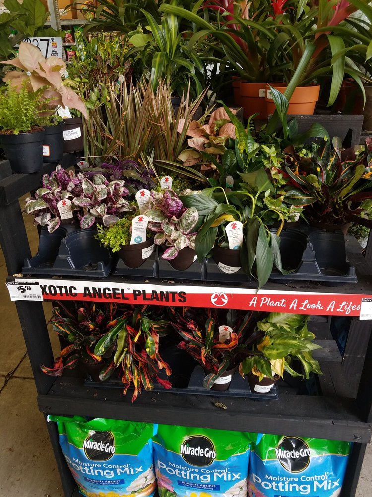 THE HOME DEPOT Updated August 2024 11 Reviews 50 Halls Ferry Park Rd, Vicksburg