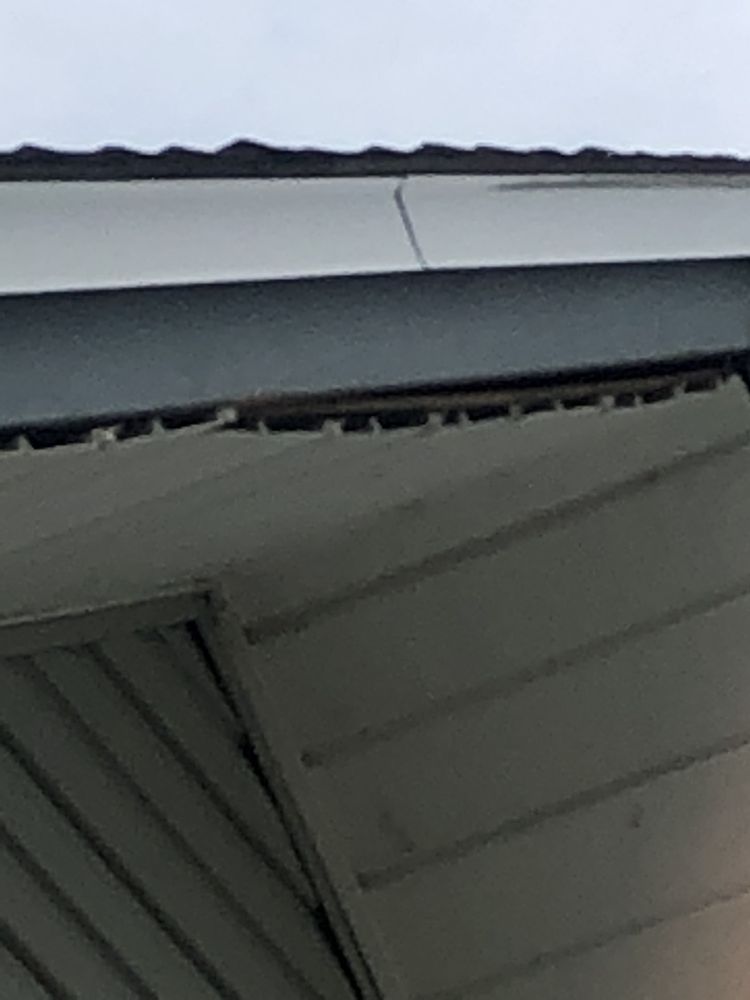 Slide of RestoreMasters