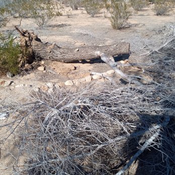 Yucca Landscaping - Landscaping Near Me Yucca Landscaping - Landscaping Near Me