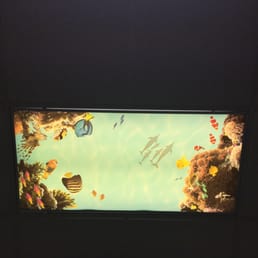 View from my chair. Fish transparency in the ceiling. Very cool View from my chair. Fish transparency in the ceiling. Very cool