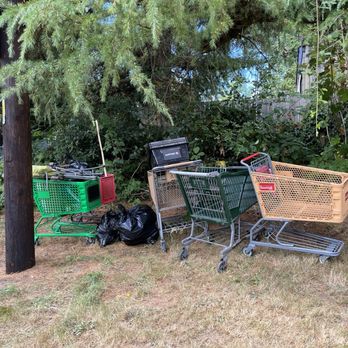 Seattle City Light - Carts left from clean up efforts - Electricity Suppliers Near Me - Seattle, Washington Seattle City Light - Carts left from clean up efforts - Electricity Suppliers Near Me - Seattle, Washington