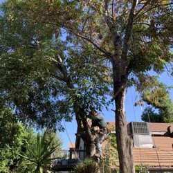 Father & Son Tree Service