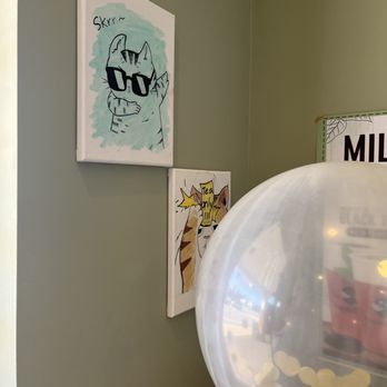 TAPIOCA GO - Updated January 2026 - 81 Photos & 21 Verified Reviews ...