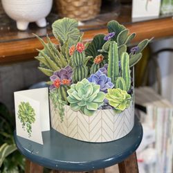 The Farmer's Daughter - Cactus Garden - Paper Bouquet
Can be mailed for you! Call (304) 996-1805