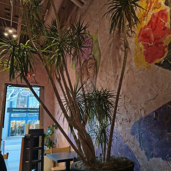 Coabana - Cuban Near Me - Phoenix, Arizona