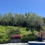 Photo of L&P Tree Service