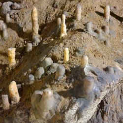 Teufelshöhle - Stalagmiten
