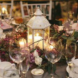 Fringe Flower Company