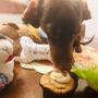 Photo of Smallcakes A Cupcakery