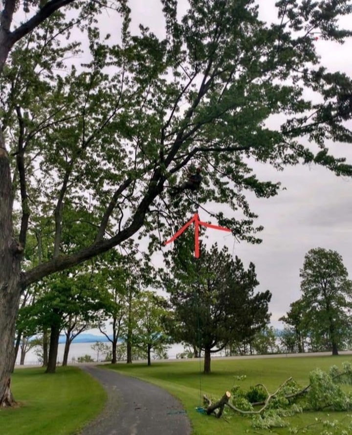 Slide of Jamie VanEtten