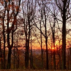 Vanderbilt Dyer Observatory
