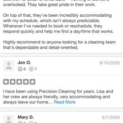Precision Cleaning Service