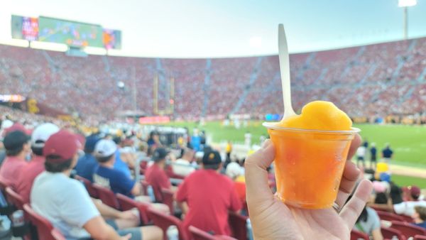 University of Southern California by null