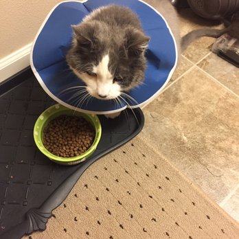 Tanasbourne Veterinary Emergency - Veterinarians Near Me - Beaverton, Oregon Tanasbourne Veterinary Emergency - Veterinarians Near Me - Beaverton, Oregon