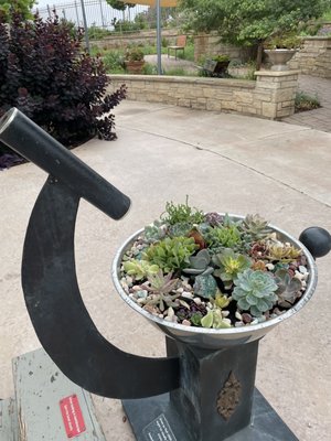 Amarillo Botanical Gardens by null