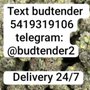 HypeHerbally
