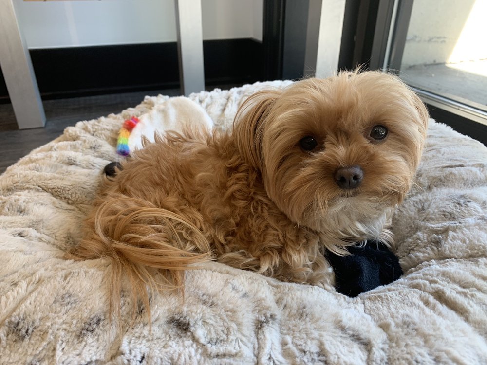 BIG CITY OPTICAL Updated June 2024 17 Photos & 32 Reviews 3708 N