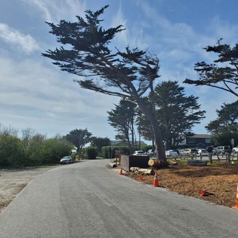 Seal Cove Cypress Tree Tunnel - Parking lot - Hiking Near Me - Moss Beach, California Seal Cove Cypress Tree Tunnel - Parking lot - Hiking Near Me - Moss Beach, California