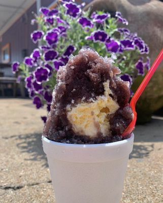 Armadillo Snow Cones by null