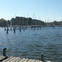 Rappahannock River Oysters